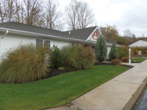 Country View Manor office