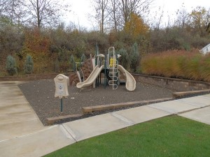 Country View Manor playground